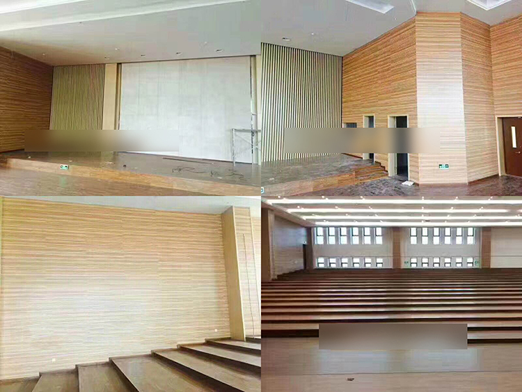 浙江杭州學院報告廳吸音工程 浙江杭州學院報告廳吸音工程