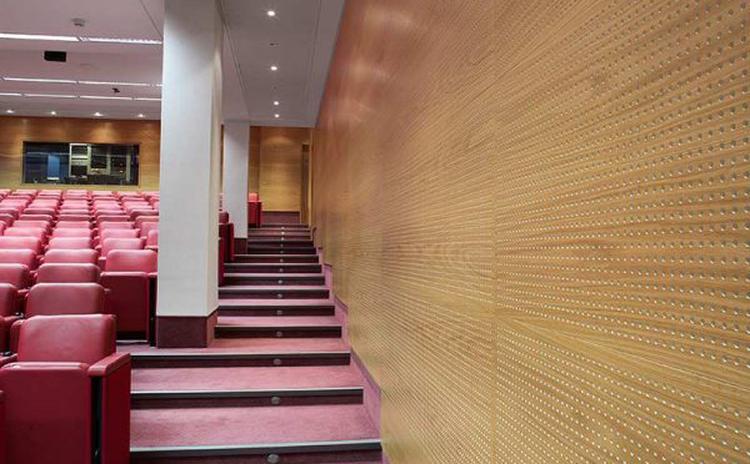 江西新余演講廳木質穿孔吸音板聲學工程 江西新余演講廳木質穿孔吸音板聲學工程