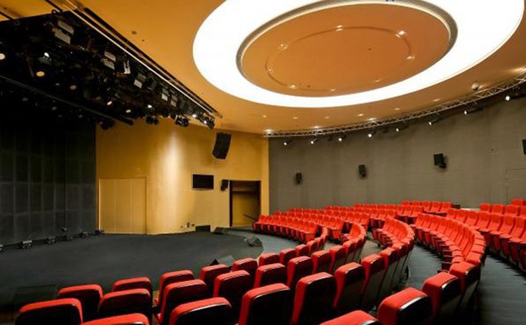 浙江麗水文化藝術中心木質吸音板聲學工程 浙江麗水文化藝術中心木質吸音板聲學工程